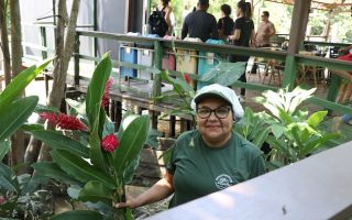 The Bitter Sweet Future of Cocoa Showcased During COP30, Belém