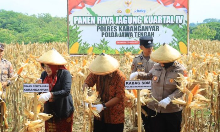 Polres Karanganyar panen jagung kuartal IV, dorong ketahanan pangan dan ekonomi desa