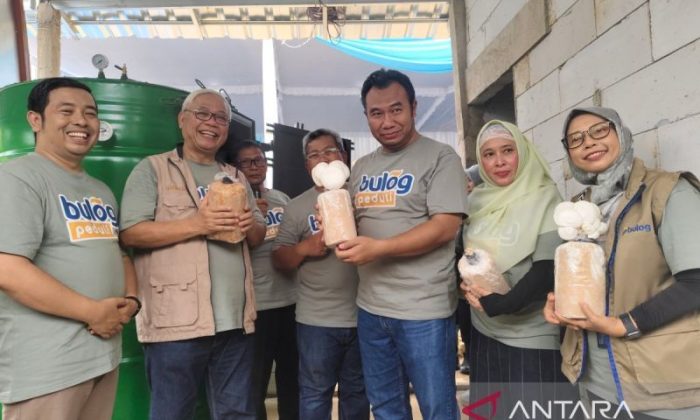 Bulog berdayakan masyarakat di Sragen melalui budidaya jamur tiram