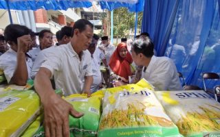 Pemkab Kudus pastikan stok beras masyarakat cukup bahkan surplus