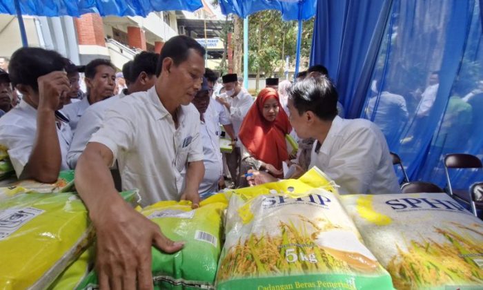Pemkab Kudus pastikan stok beras masyarakat cukup bahkan surplus