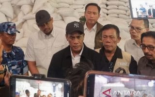 Mentan Amran siapkan stok beras tiga kali lipat di tiga provinsi