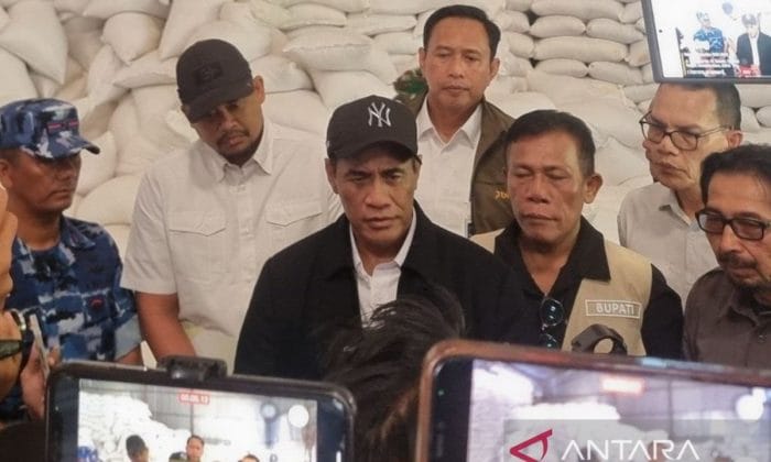 Mentan Amran siapkan stok beras tiga kali lipat di tiga provinsi