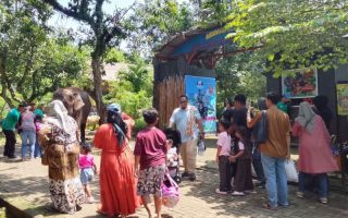 Semarang Zoo menyambut Tahun Baru dengan berbagai even