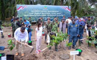 Pemerintah relokasi masyarakat dari Taman Nasional Tesso Nilo untuk kembalikan fungsi lahan