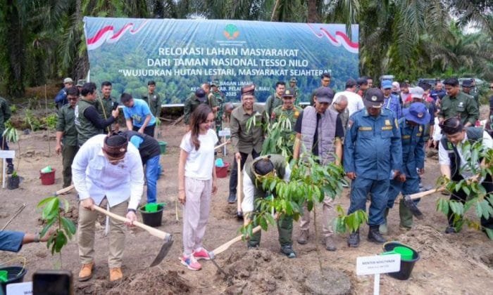 Pemerintah relokasi masyarakat dari Taman Nasional Tesso Nilo untuk kembalikan fungsi lahan