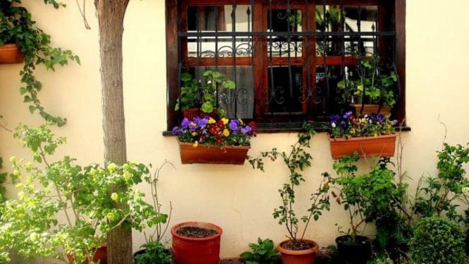 5 Tips Bikin Lingkungan Rumah Harmonis dengan Alam, Dijamin Adem dan Tenang!