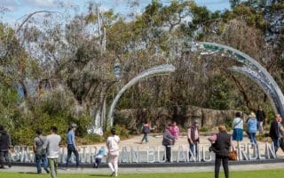 6 Hal Menarik di Perth yang Bikin Liburan Makin Berkesan