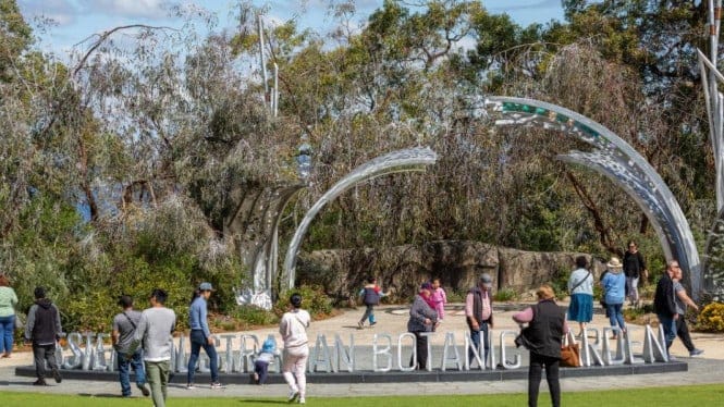 6 Hal Menarik di Perth yang Bikin Liburan Makin Berkesan