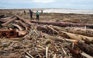Kemenhut sebut 12 perusahaan terindikasi berkontribusi picu banjir Sumatera