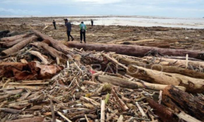 Kemenhut sebut 12 perusahaan terindikasi berkontribusi picu banjir Sumatera