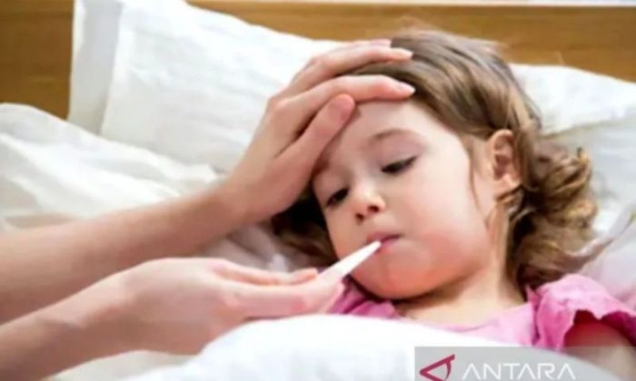 IDAI: Masyarakat perlu waspadai peningkatan kasus superflu karena influenzaH3N2