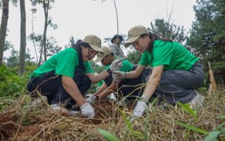 Nestle Indonesia tanam 1.000 pohon di Jateng dukung keberlanjutan lingkungan
