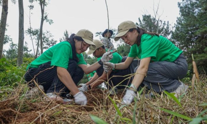 Nestle Indonesia tanam 1.000 pohon di Jateng dukung keberlanjutan lingkungan