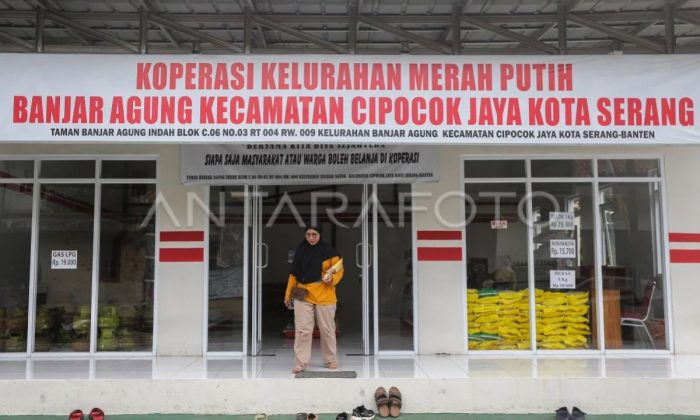 Kemenkop: Seluruh produk lokal harus diserap Kopdes Merah Putih