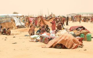 Sudan: UN warns of unprecedented child hunger in Darfur as fighting fuels refugee exodus