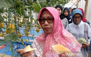 Pemkab Blora dorong petani lokal pasok ke SPPG