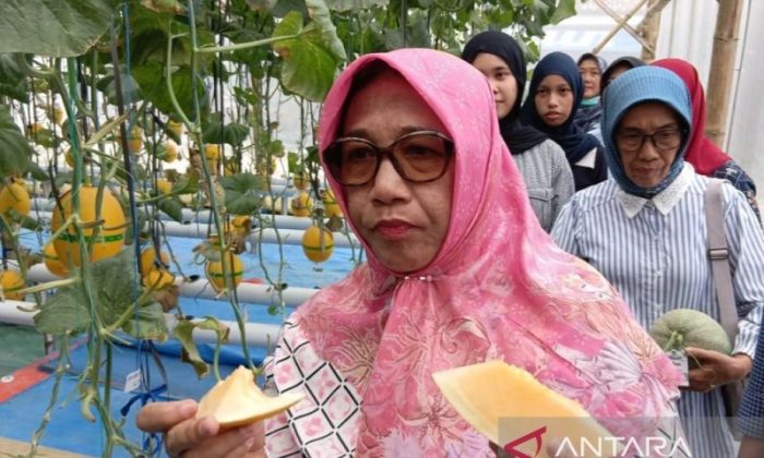 Pemkab Blora dorong petani lokal pasok ke SPPG