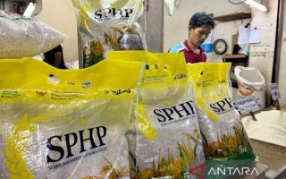 Bapanas: Masyarakat bisa beli beras SPHP 5 pak mulai Februari