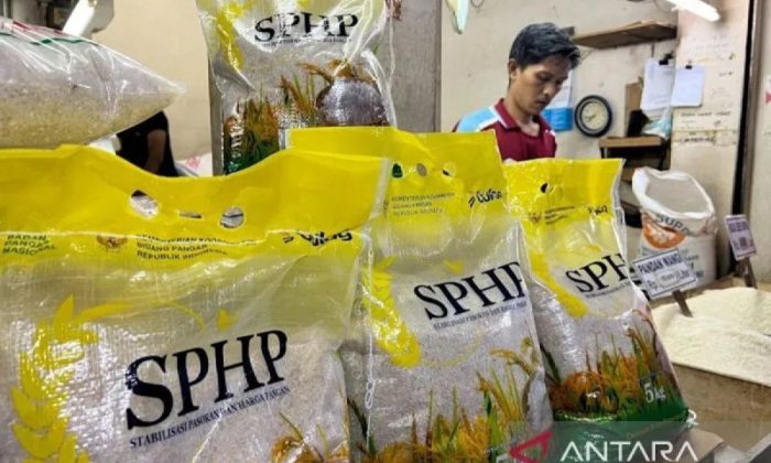 Bapanas: Masyarakat bisa beli beras SPHP 5 pak mulai Februari