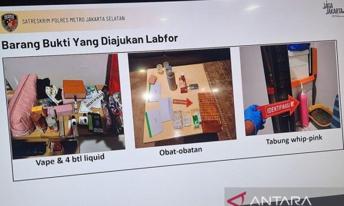 Polisi selidiki asal-usul "whip pink" di apartemen Lula Lahfah