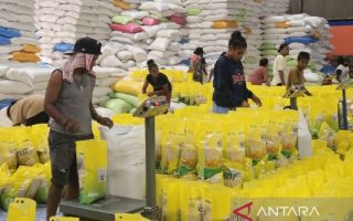 Bulog Papua: salurkan 20.567 ton beras SPHP per Januari 2026