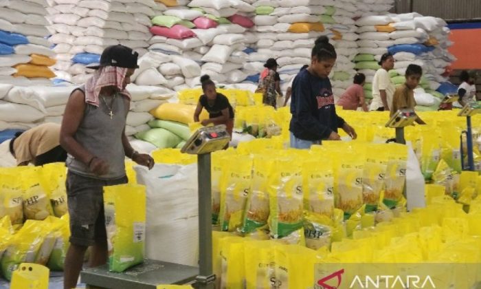 Bulog Papua: salurkan 20.567 ton beras SPHP per Januari 2026