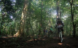 Guru Besar IPB Ungkap Fakta Mengejutkan soal Hutan dan Banjir
