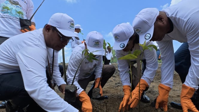 PNM Tanam 374 Ribu Pohon, Wujud Komitmen Dukung Program Penghijauan Nasional