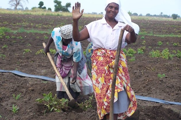 Excluding Food Systems From Climate Deal Is a Recipe for Disaster