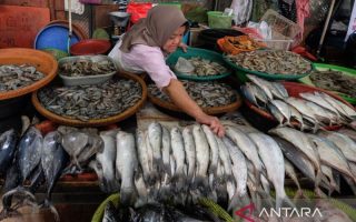Serapan konsumsi ikan nasional tembus 7,34 Juta Ton