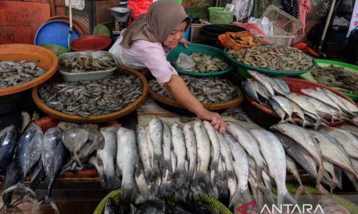 Serapan konsumsi ikan nasional tembus 7,34 Juta Ton
