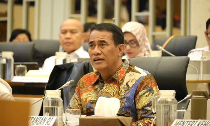 Kementan ajukan tambahan Rp5,1 triliun pulihkan pertanian Sumatera