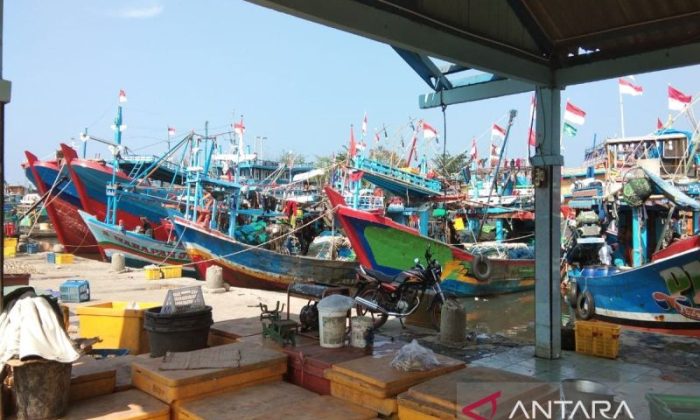 HNSI Batang mengimbau nelayan berhenti melaut karena gelombang tinggi