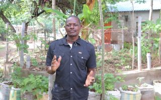 Moving Towards Agroecological Food Systems in Southern Africa