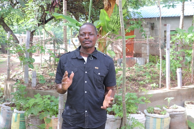 Moving Towards Agroecological Food Systems in Southern Africa