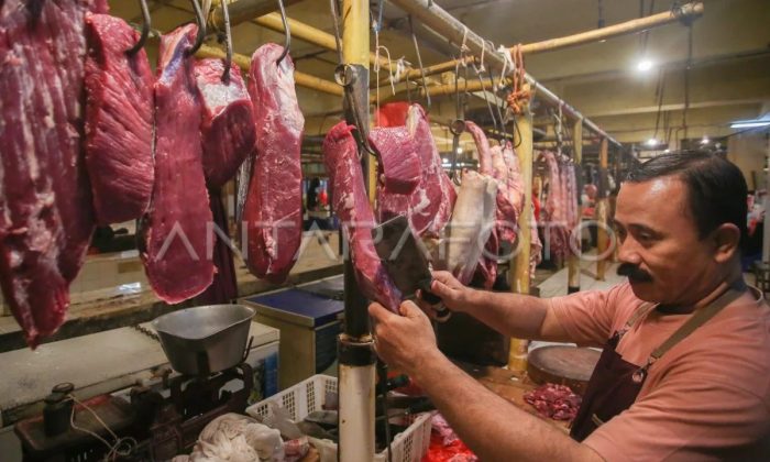 Mentan tegaskan kuota impor daging sapi swasta dipangkas demi stabilitas harga