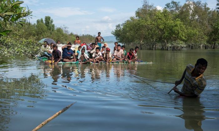 Myanmar’s Rohingya people called ‘Muslim dogs’ before attacks, ICJ hears