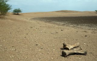 World enters era of ‘global water bankruptcy’