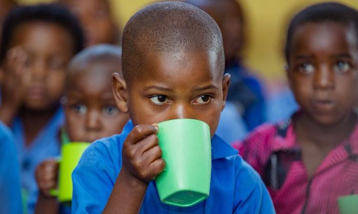 From lunch tray to lifelong health: WHO sets global standards for school meals