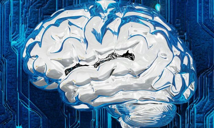 Can workers compete with machines and stay relevant in the AI era?