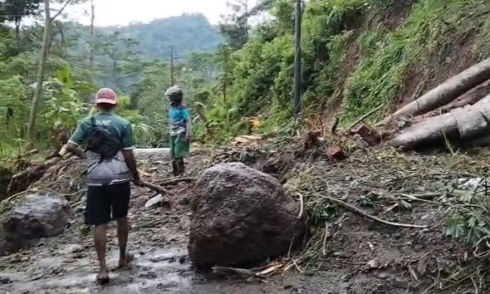 Akses jalan utama di Desa Tempur Jepara terkena longsor