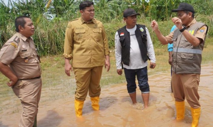 Pemkab Jepara usulkan pemerintah pusat normalisasi sungai penyebab banjir