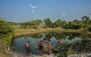 Big Nature-Based Finance Turnaround Needed to Restore, Protect Ecosystems