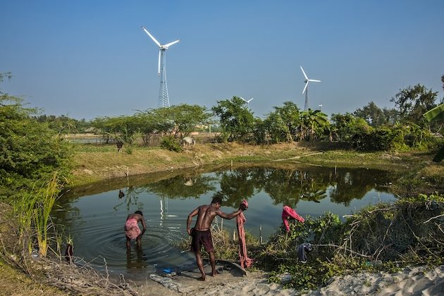 Big Nature-Based Finance Turnaround Needed to Restore, Protect Ecosystems