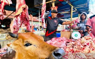 Pemkab Aceh Barat terima Rp1 miliar dari Presiden untuk bantuan daging