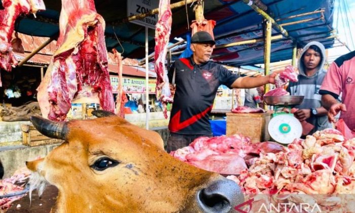 Pemkab Aceh Barat terima Rp1 miliar dari Presiden untuk bantuan daging