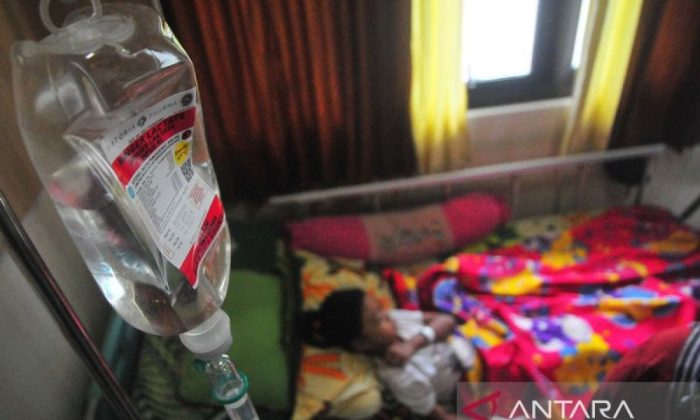 IDAI: Kawasaki pada anak bisa picu gangguan jantung