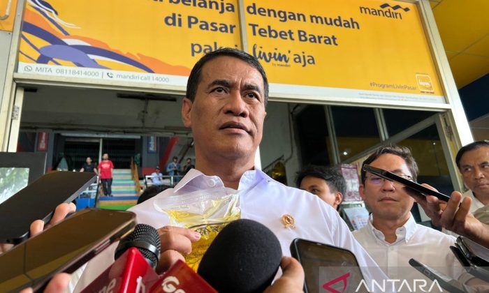 Mentan tegaskan produksi dan stok pangan tetap aman di tengah dinamika cuaca