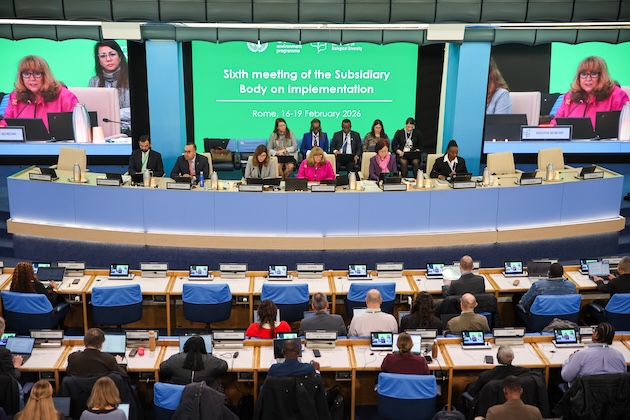 From Pledges to Proof: UN Biodiversity Meeting Begins First Global Review of Nature Action